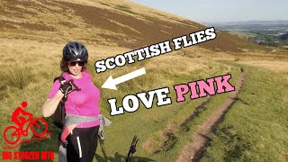LADIES. DON'T WEAR PINK! ATTACKED BY FLIES....