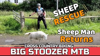 SHEEP MAN RETURNS. Sheep Rescue. Selkirk...