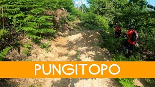 MTB Monti Pisani 03.06.2023 sentiero PUNGITOPO