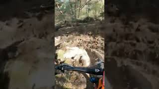 Cool trail  #mtb #shorts #mountainbike #sport...