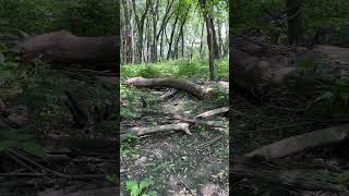 Repairing flooded #MTB trails ( and fighting...