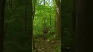 Chasing the Mohican 100 leaders with the...