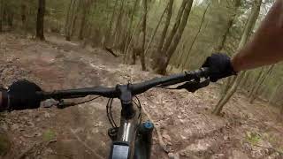 Loam Ranger (and The Fear) in South Michaux Forest