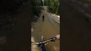 This dreamy flow trail in Whistler never...