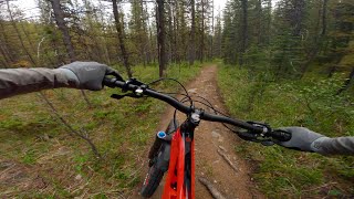 Loamzilla Trail