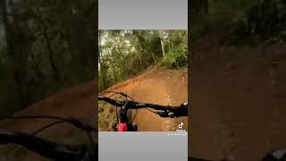 This place was mint #downhill #mountainbike...