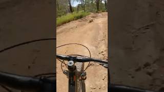 Wild Aussie trail #reddirt #aussie #mtb #bike...