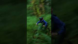 It rips! @marinbikesofficial ⚡️ #mtb #bike...