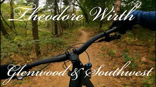 Theodore discount wirth singletrack