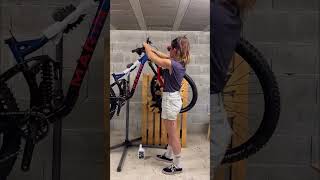 Alpine Trail XR build with Morgane