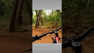 This forest ! #bike #mountainbike #hinze #dam...
