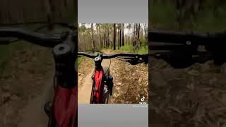 I hated this trail #bike #hated #mountainbike...