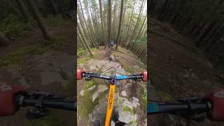 Is TRIPPLE BLACK a Pro Line? #mountainbike...