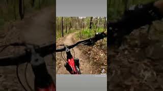 The amount of rocks…  #downhillbike #bike...