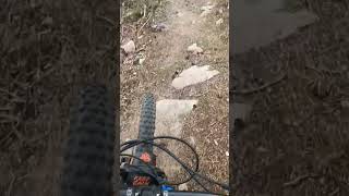 Besando el suelo  #shorts #fail #mtb...