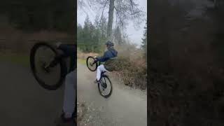 Mtb wheelies