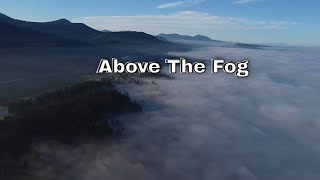 Above The Fog
