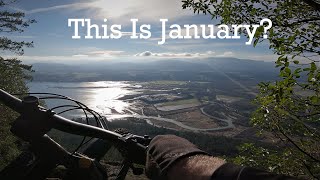 January Ride On Tzouhalem
