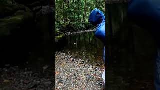 Brayden Skipping Rocks