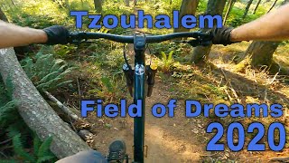 Field of Dreams and 2020 on Tzouhalem