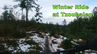 Winter Day at Tzouhalem