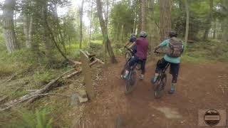 Riding Phloem on Maple Mountain