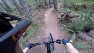Riding Mt. Tzouhalem