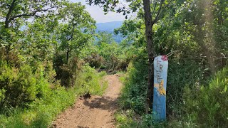 Freeride - Pratomagno