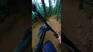 Pinballing Through Trees!