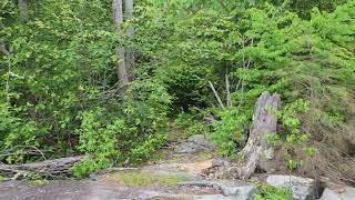 Wawayanda MTB, Red Dot Trail, stopping to...