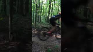 Big log!!!