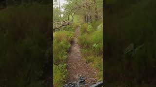 Loch Gamhna Single Track. Short No 1....