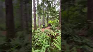 Jungle Vibes! Sharknado #mtb #mountainbiking...