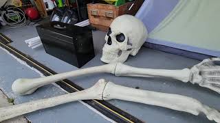 12 Foot Skeleton On Facebook Marketplace!...