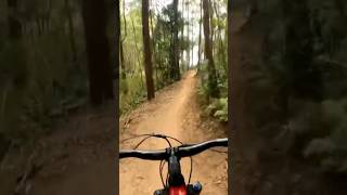 Mint trails #downhillbike #downhill #asmr...
