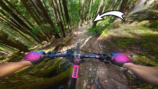 Downhill Bikes were Made for 