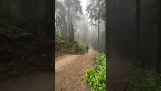 Huge Pull at Coast Gravity Park! #mtb...