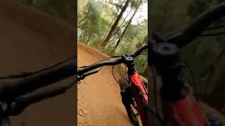 The flow state #downhill #mtb #dhbike #asmr...