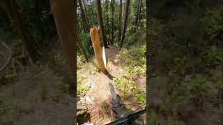 This Line Gave Me Nightmares!!! #mtb...