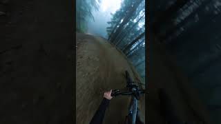 Coast Gravity Park is Something Special!! #mtb...