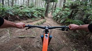 Hot X Buns @ Whakarewarewa Forest. Rotorua