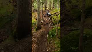 The worst mountain bike crash ever! #shorts...