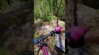 This Took Me   to Ride