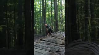 Round slippery wet log!!!