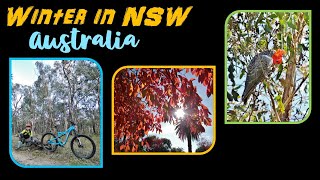 Stunning winter shades of Albury NSW and...