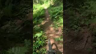 Oops! I ran over a snek! #cycling #snake...