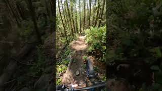Insane POV On Cypress #mtb #mountainbiking...