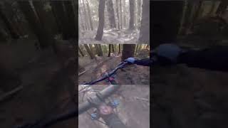This Dog Is Fast! #dog #trail #mtb