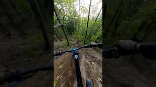 Tire Skidding Awesomeness with a new roller...