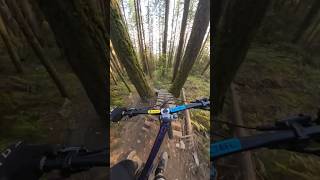 These trails weren’t built for 29ers!...